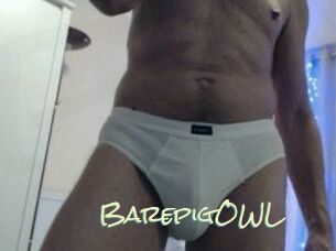 BarepigOWL Porn Monkey Cash