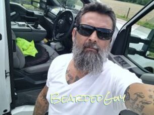 BeardedGuy