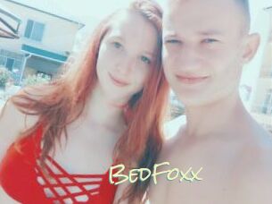 BedFoxx