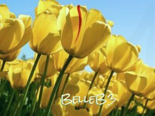 BelleB3