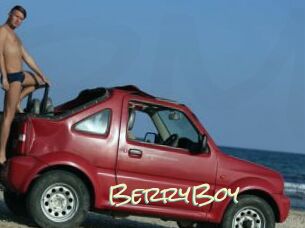 BerryBoy