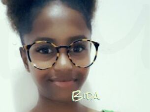 Bida