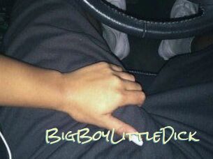 BigBoyLittleDick