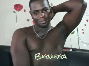 Bignigga
