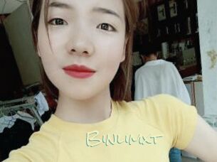 Binlimxt
