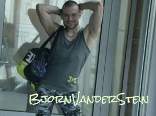 BjornVanderStein