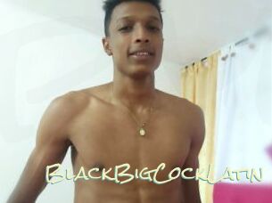 BlackBigCockLatin