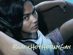 BlackHotHornyGay