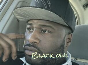 Black_owl