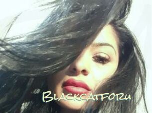 Blackcatforu