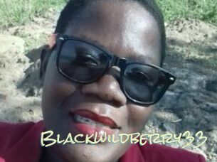Blackwildberry33