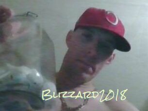 Blizzard2018