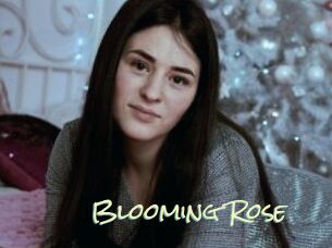 Blooming_Rose
