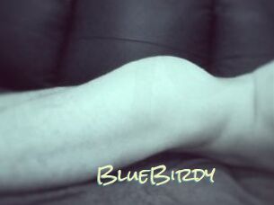 BlueBirdy