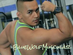 BlueWolfMuscular