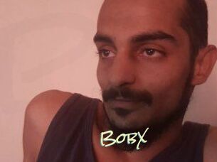 BobX