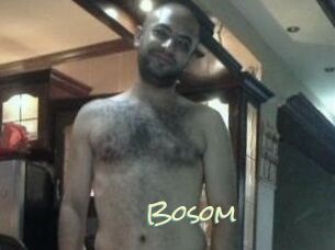 Bosom