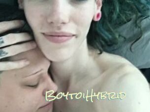 BoytoiHybrid