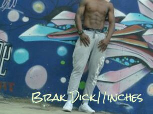 Brak_Dick11inches