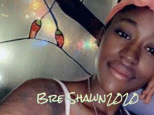 Bre_Shawn2020