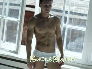 BucksBunny