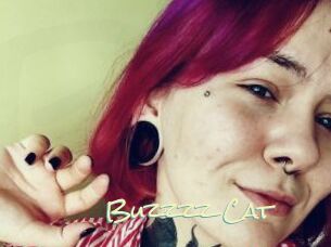 Buzzzz_Cat
