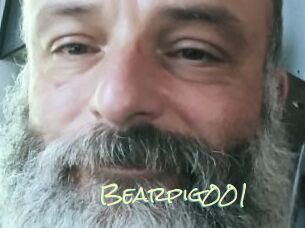 Bearpig001