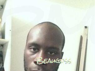 Beaugoss