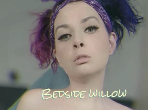 Bedside_willow