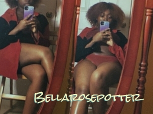 Bellarosepotter