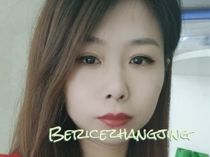 Bericezhangjing