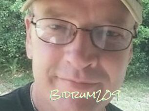 Bidrum209