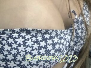 Bigboobs2023