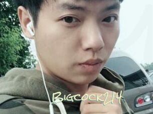 Bigcock214