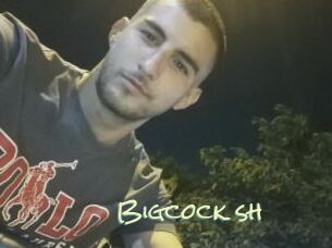 Bigcock_sh