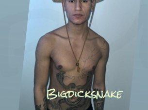 bigdicksnake Porn Monkey Cash