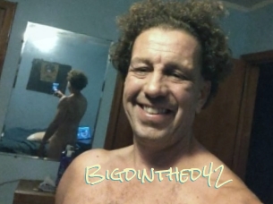 Bigdinthed42