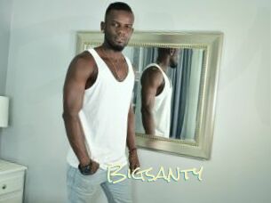 Bigsanty