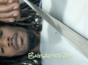 Bigsapiofam