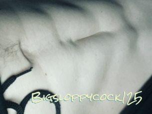Bigsloppycock125