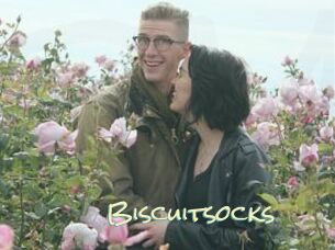Biscuitsocks