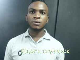 Black_dominick