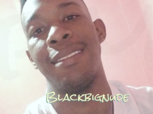 Blackbignude