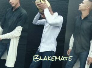 blakemate Porn Monkey Cash