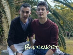 Bleicknort
