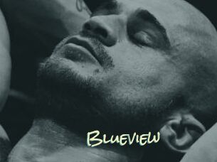 Blueview