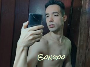 Bongoo