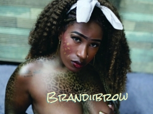 Brandiibrow