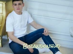 Brandonbud