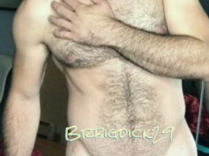 Brbigdick29